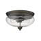 Z-Lite Amon 2 Light Flush Mount, Olde Bronze And Clear Seedy 722F2-OB - alternate 6